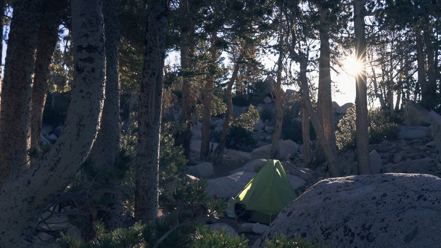 Stills: Kings Canyon