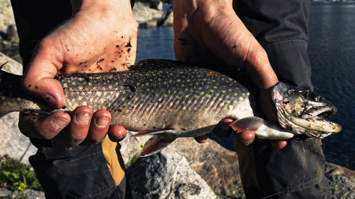 Stills: Wind River Range