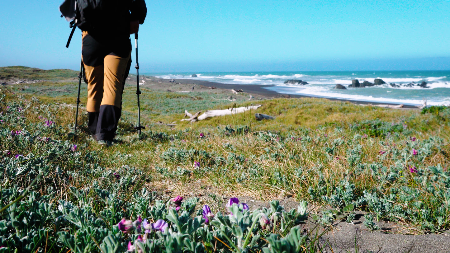 Stills: Lost Coast