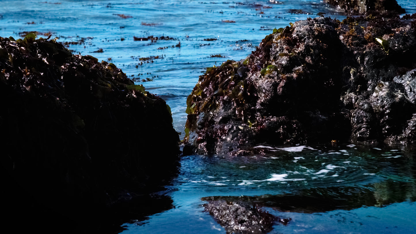 Stills: Lost Coast