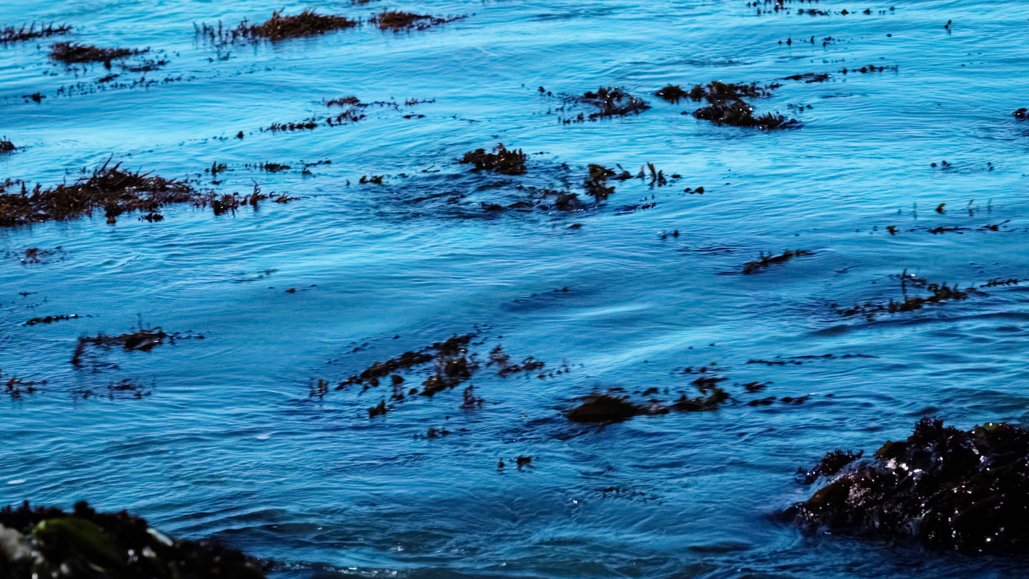Stills: Lost Coast