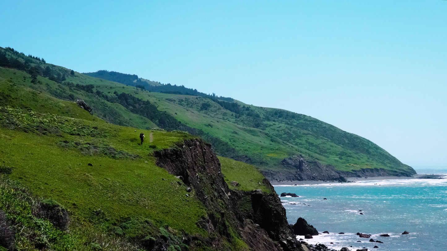 Stills: Lost Coast