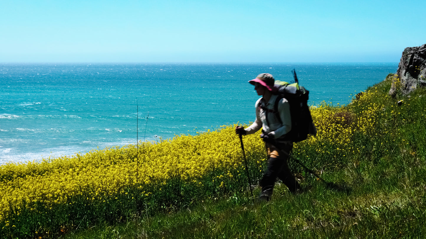 Stills: Lost Coast