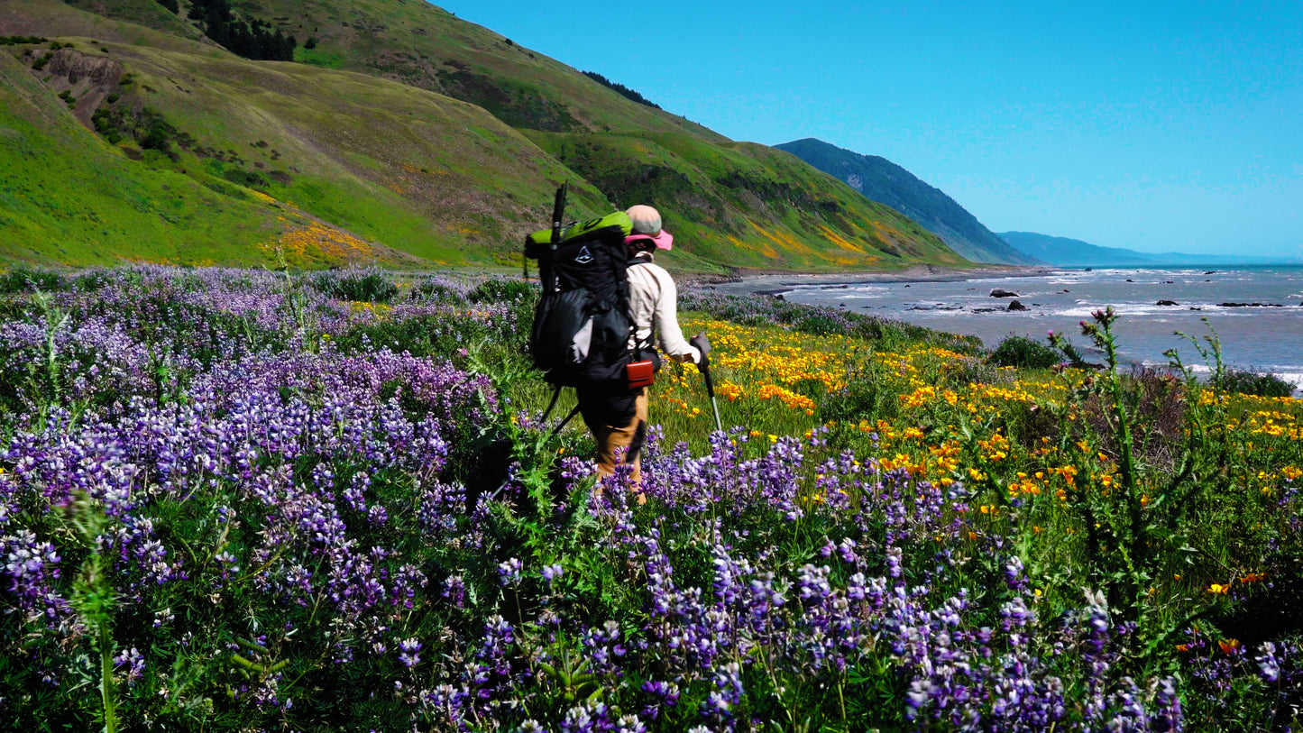 Stills: Lost Coast