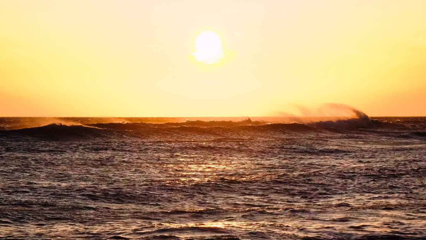 Stills: Lost Coast