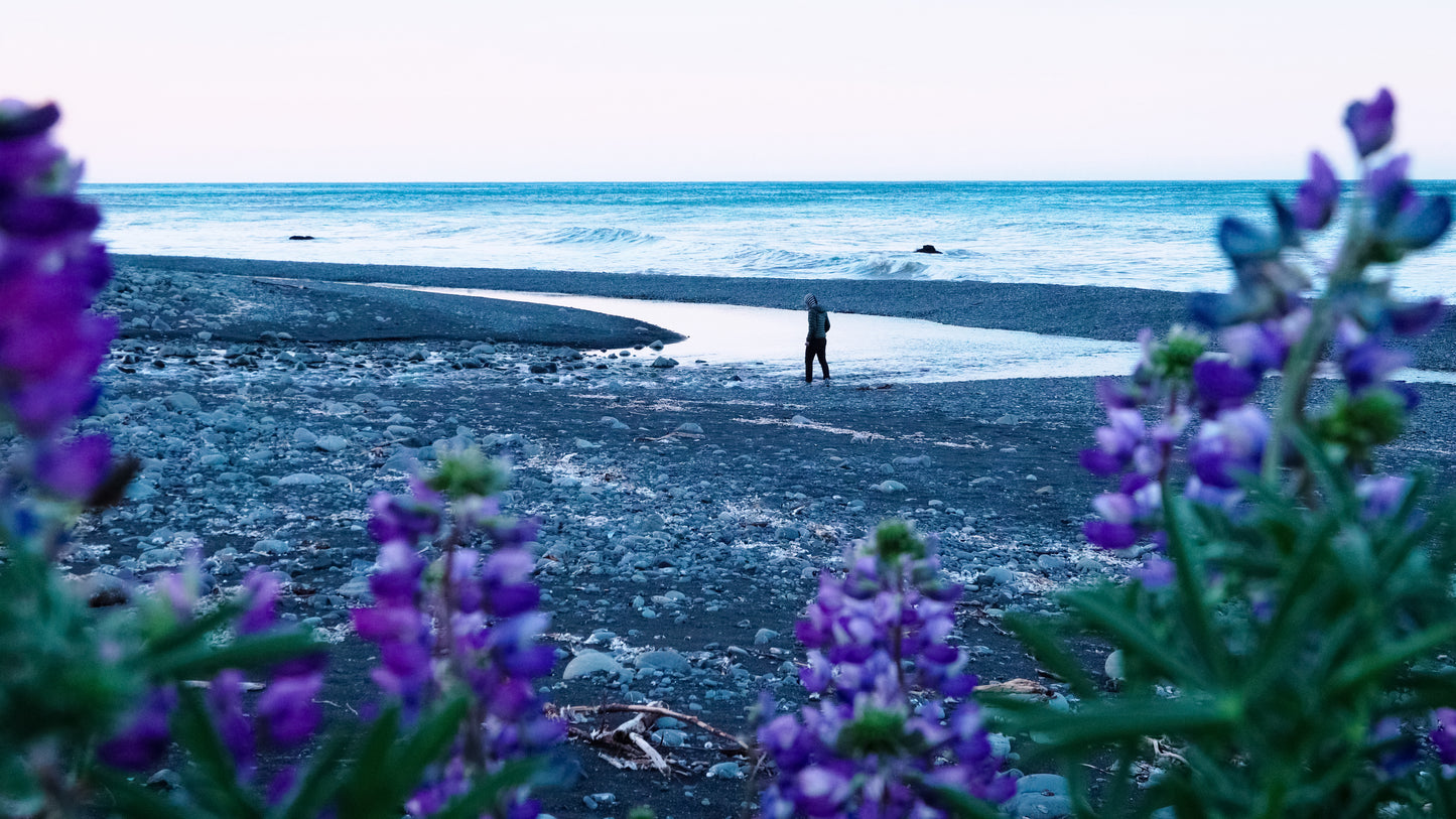 Stills: Lost Coast