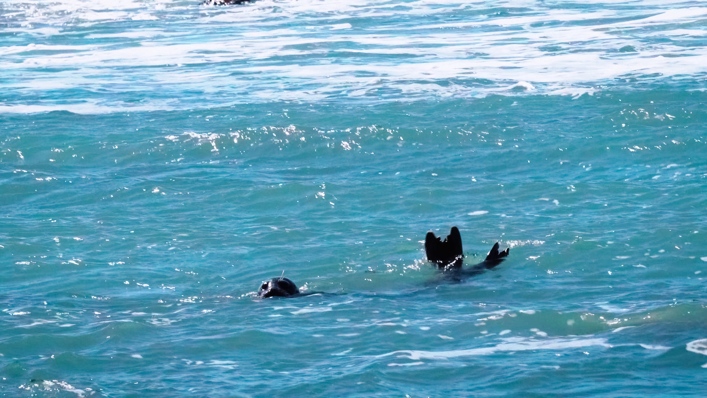 Stills: Lost Coast