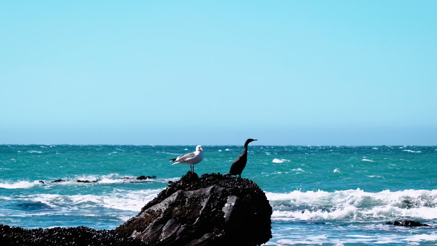 Stills: Lost Coast