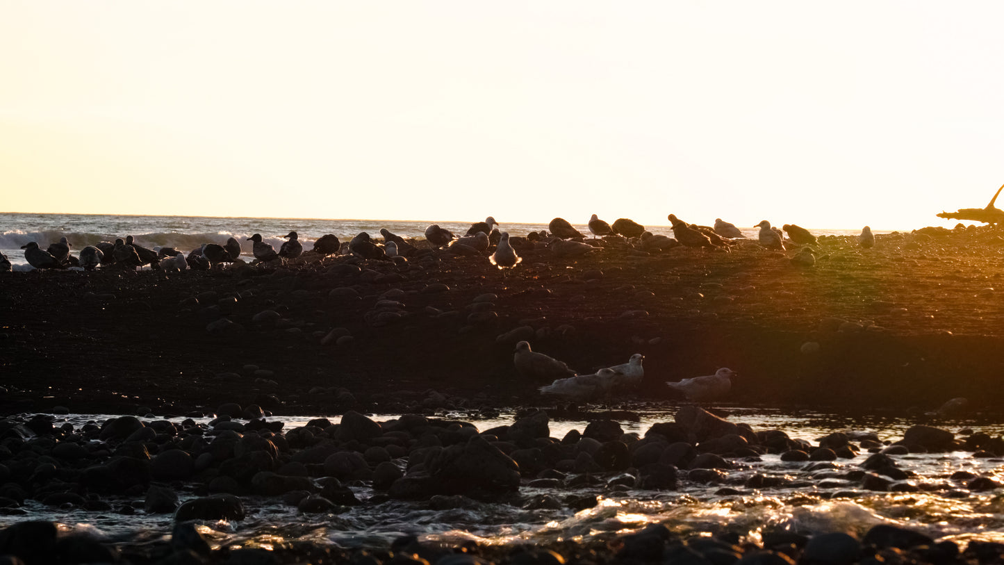 Stills: Lost Coast