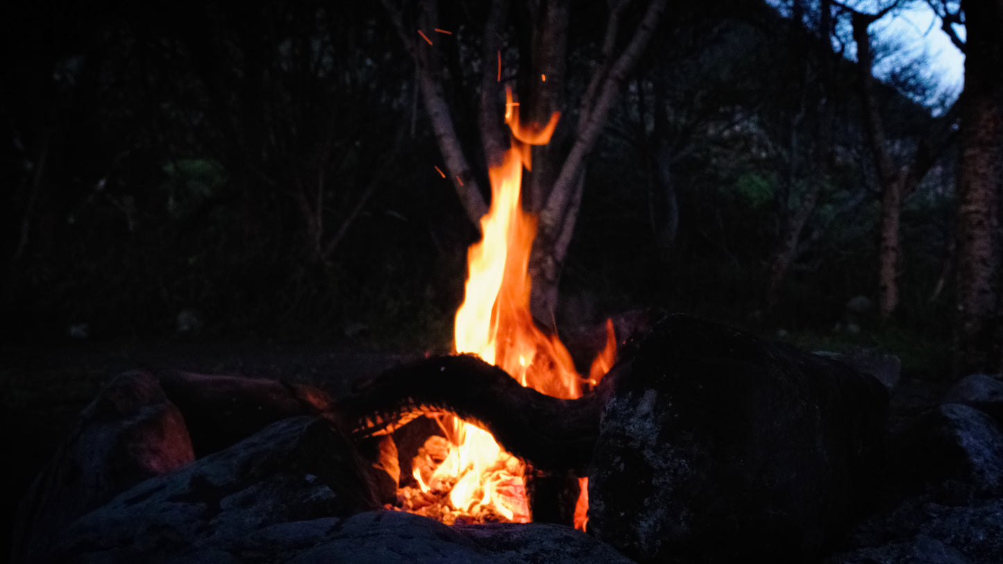 Stills: Lost Coast