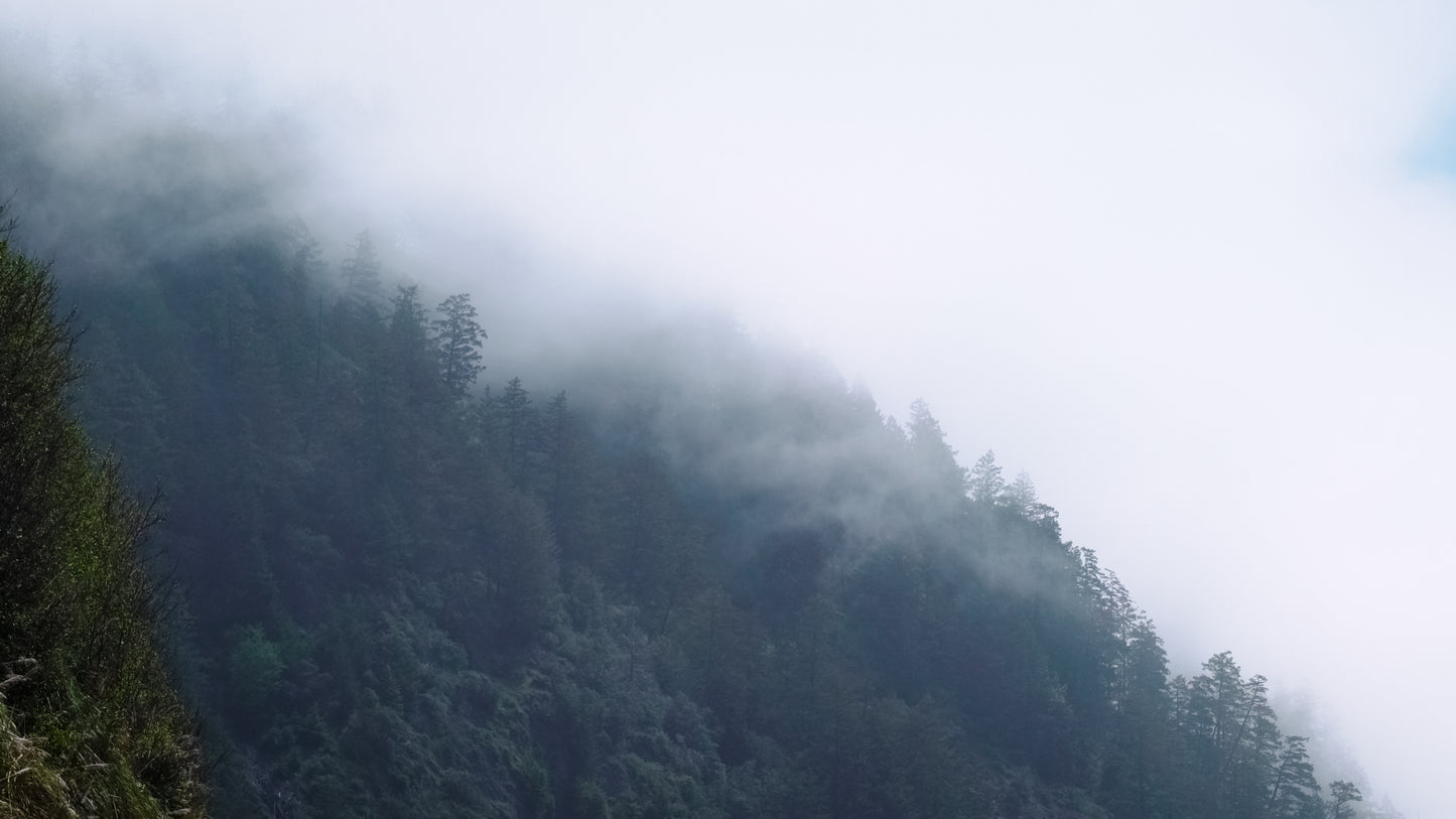 Stills: Lost Coast