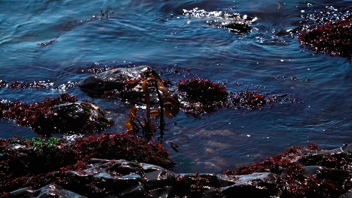 Stills: Lost Coast