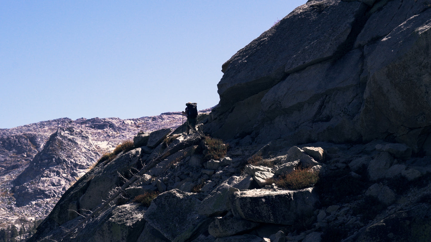 Stills: Sequoia