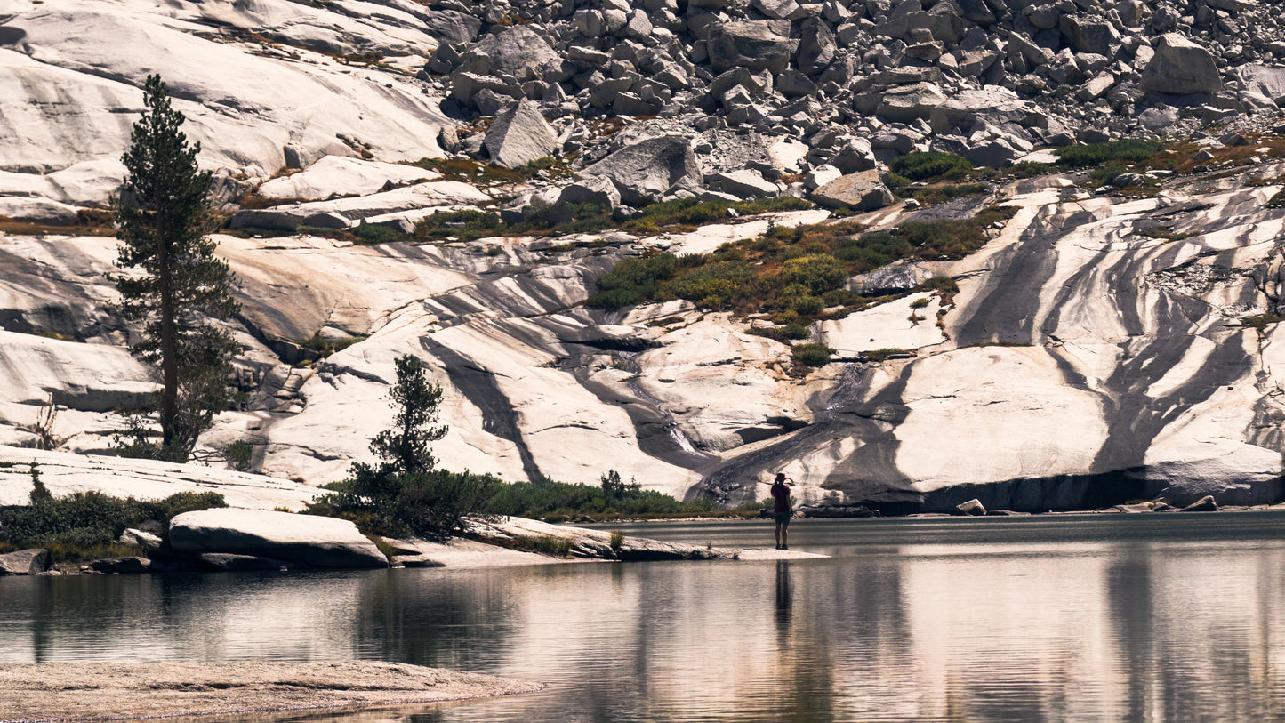 Stills: Sequoia