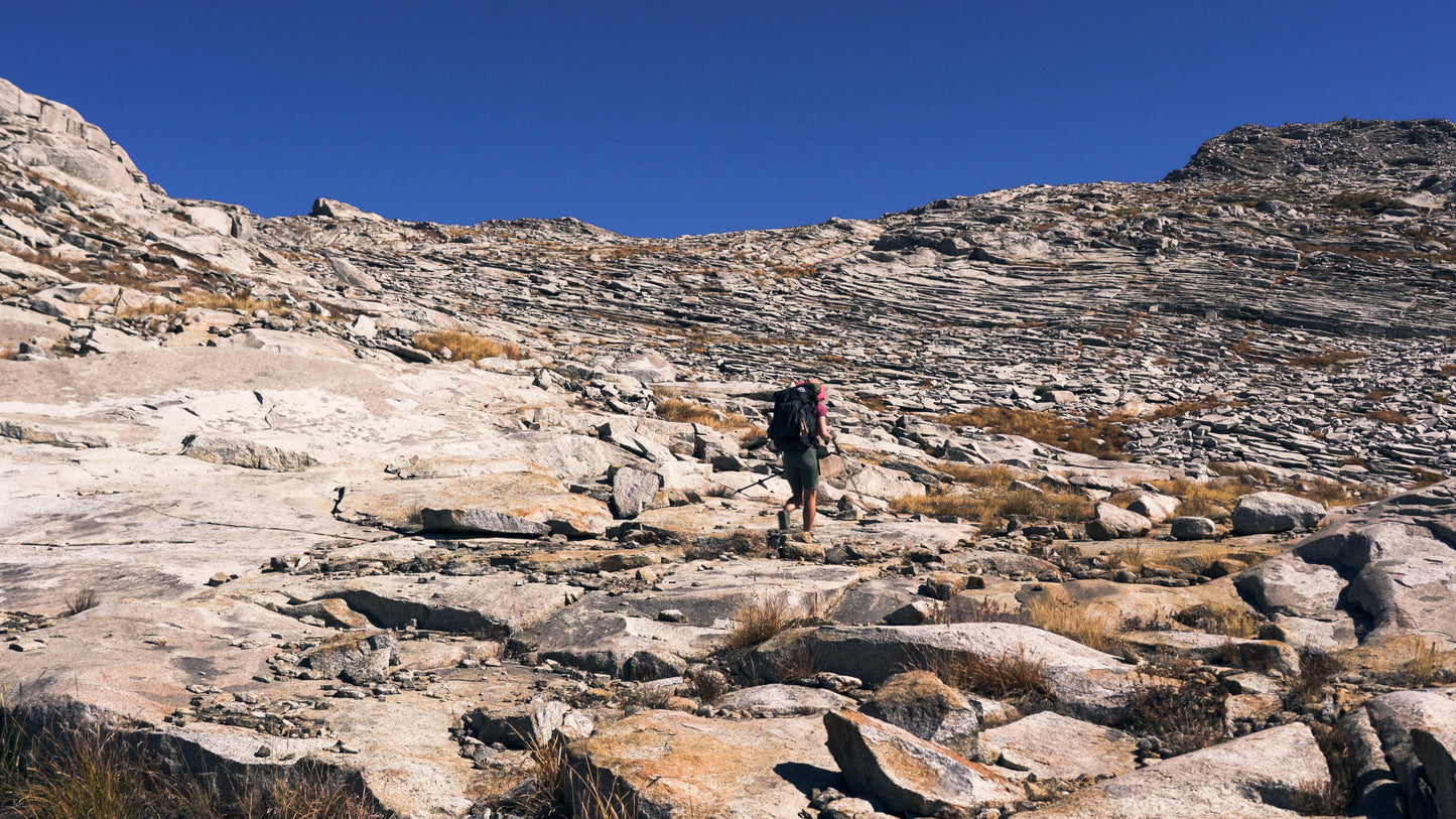 Stills: Sequoia