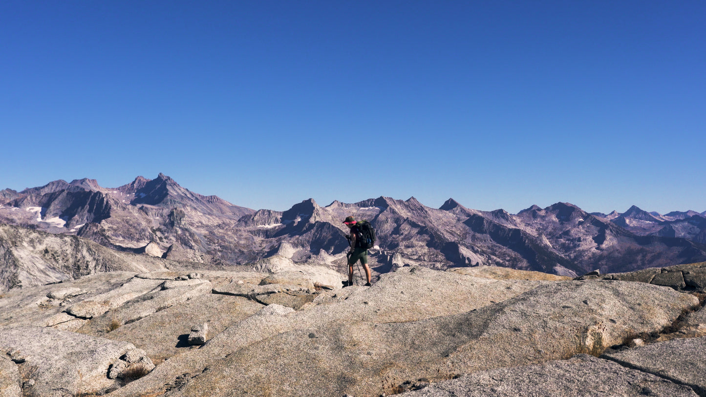 Stills: Sequoia