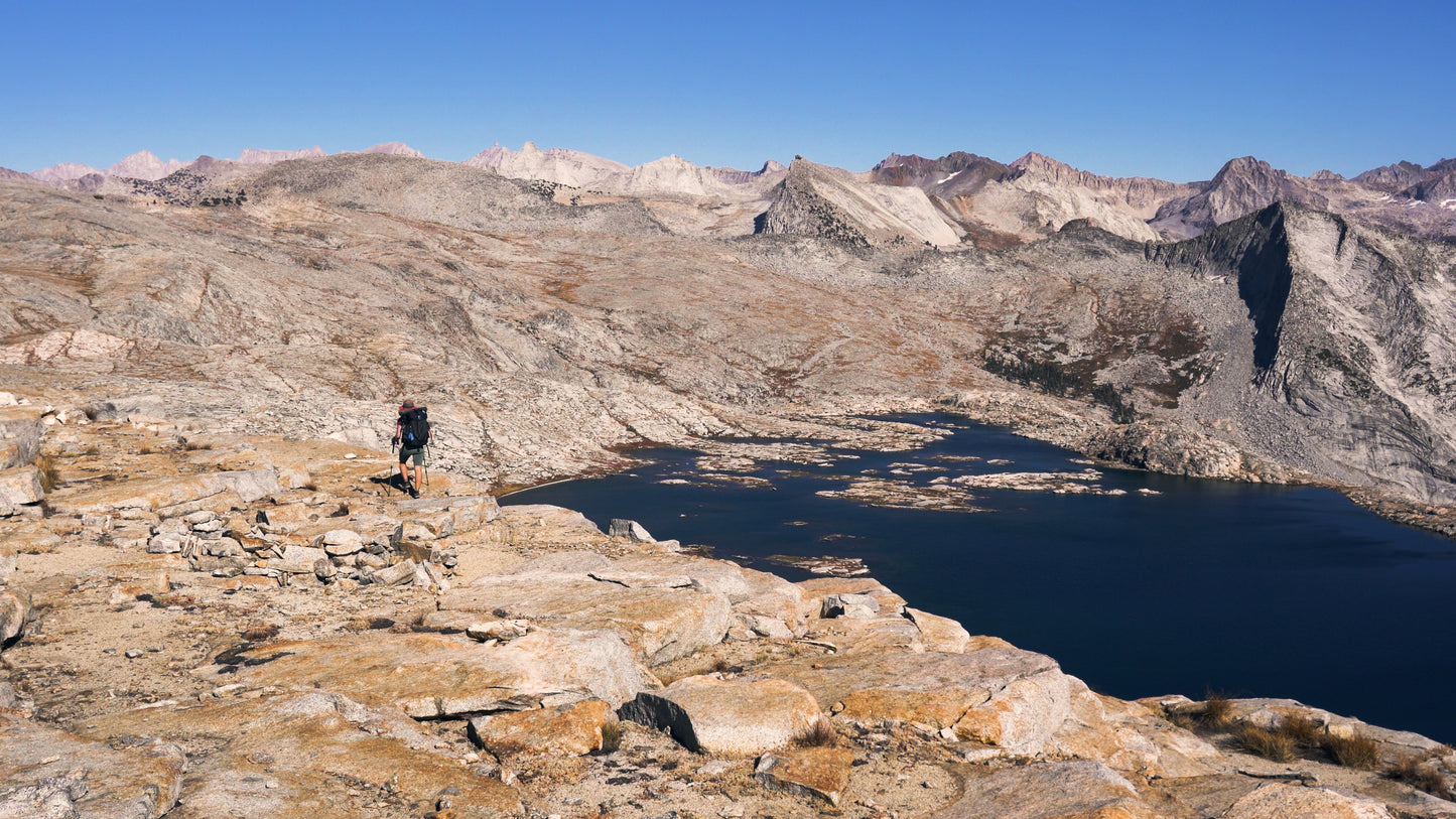 Stills: Sequoia