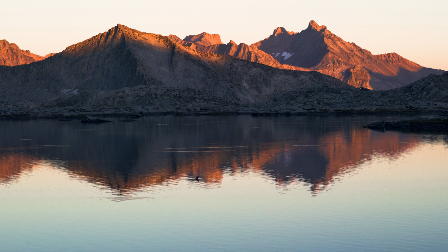 Stills: Sequoia