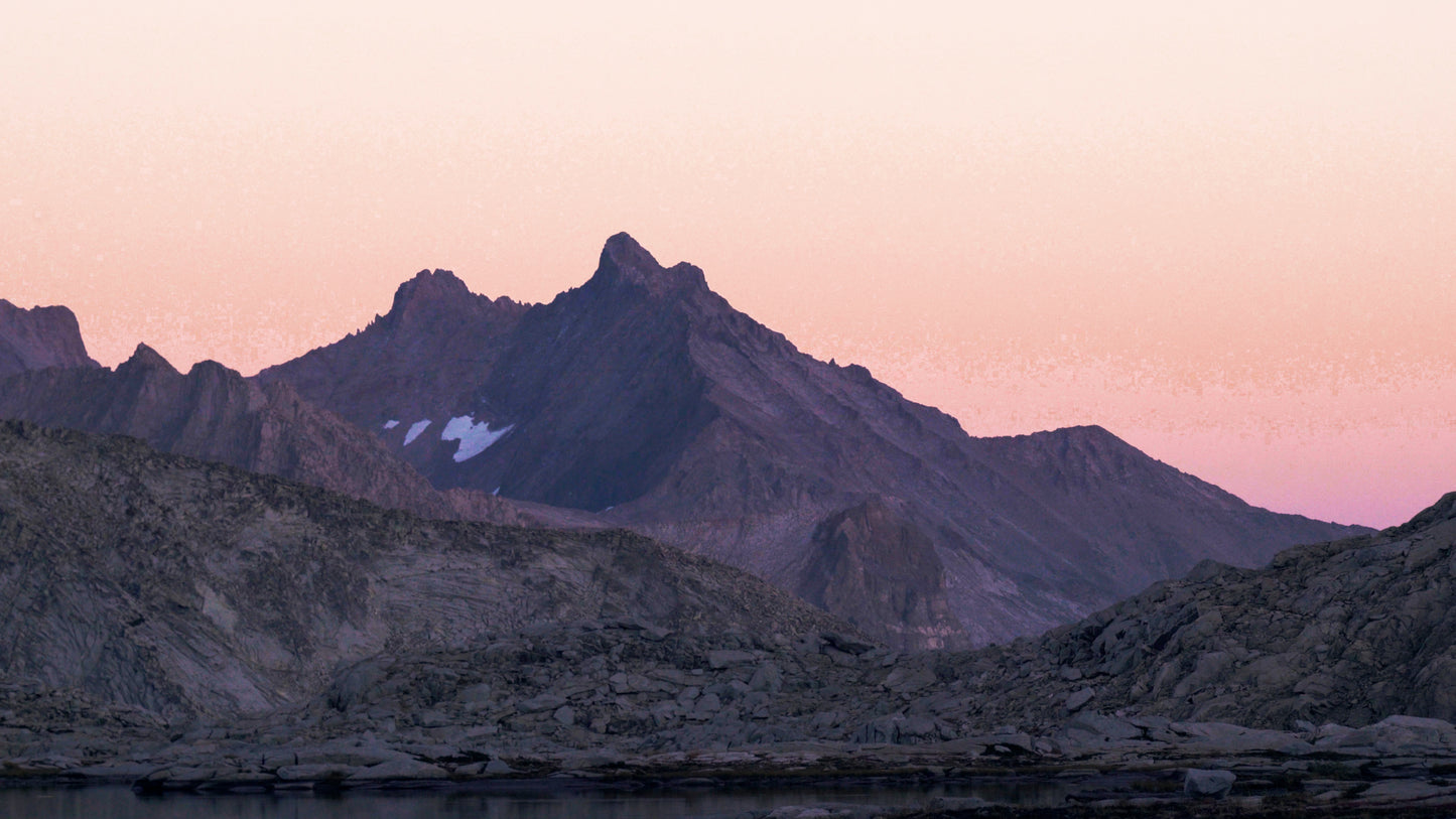 Stills: Sequoia
