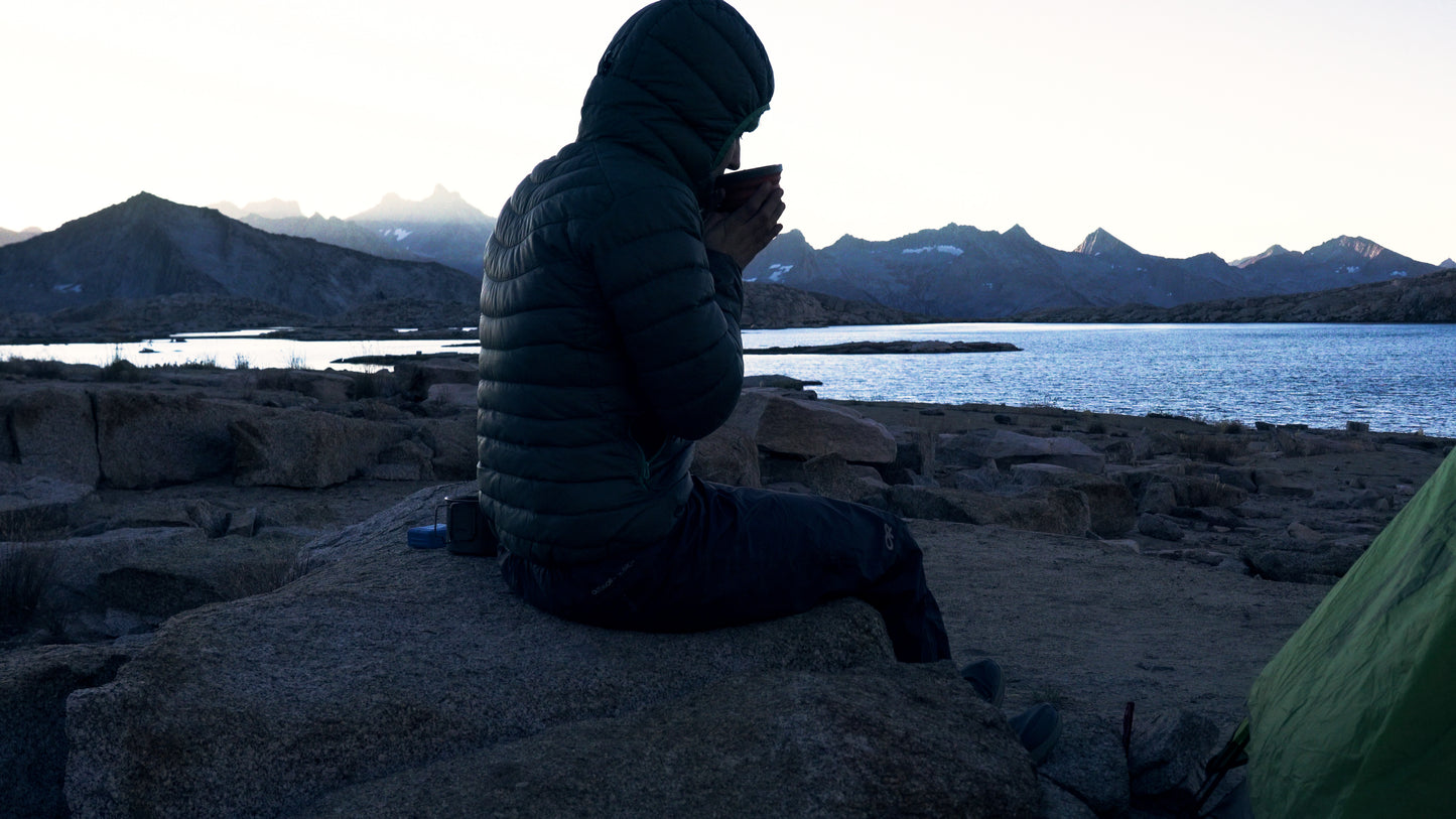 Stills: Sequoia