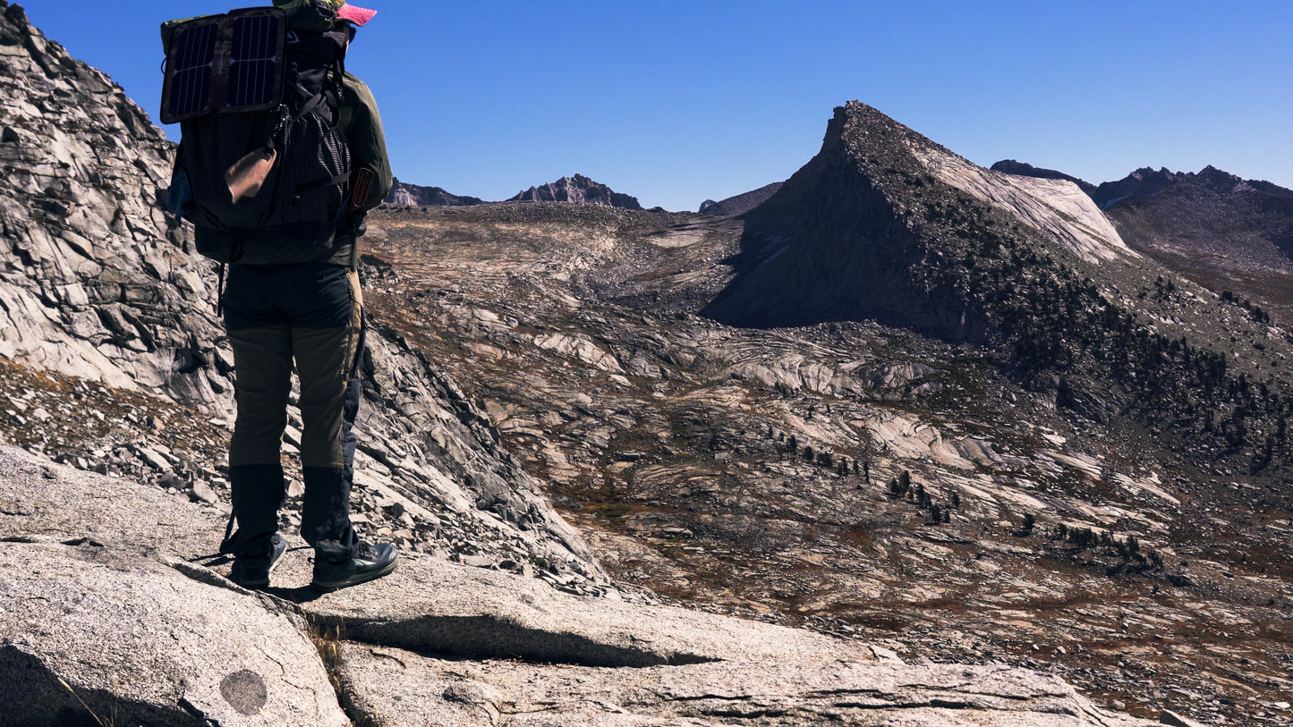 Stills: Sequoia