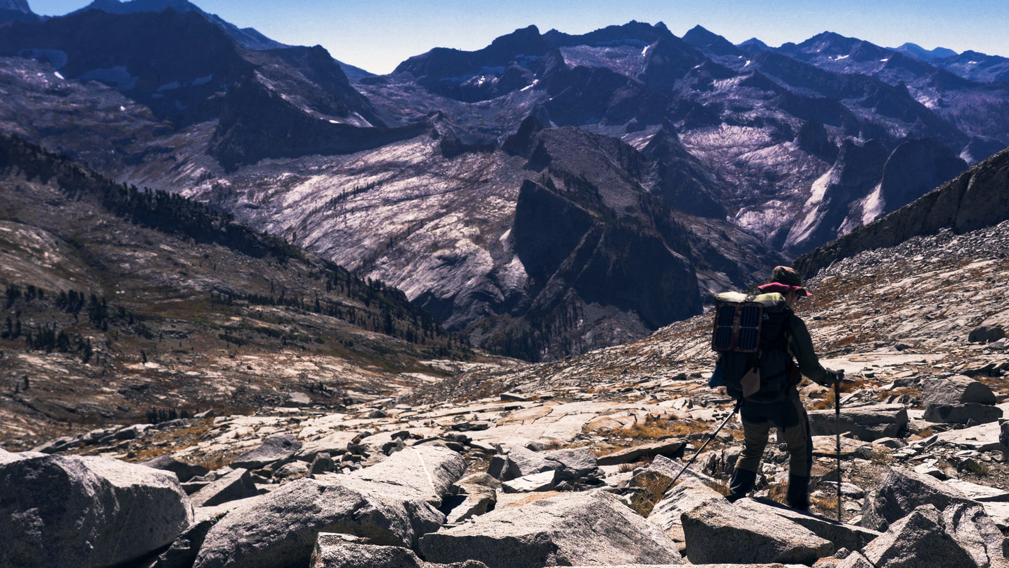 Stills: Sequoia