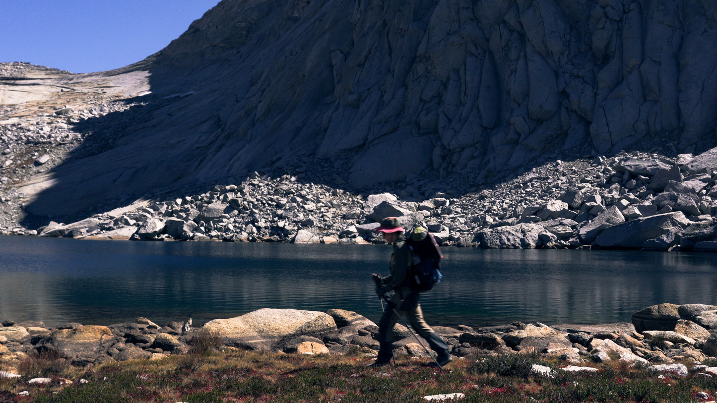Stills: Sequoia