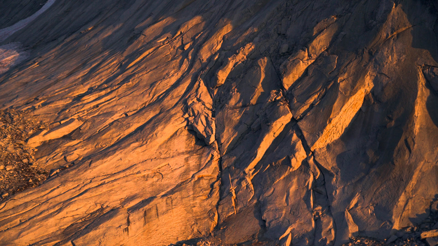 Stills: Sequoia