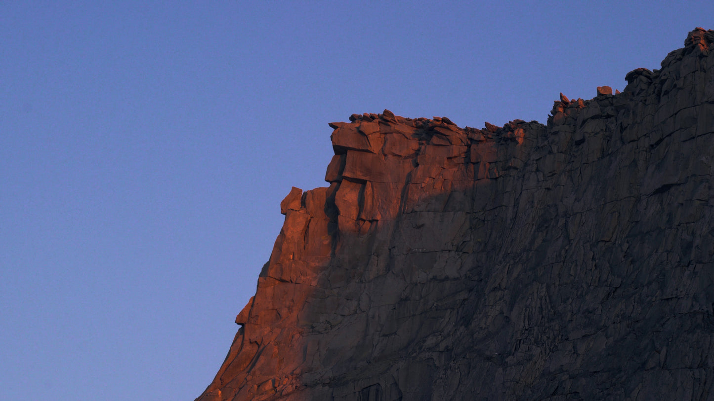 Stills: Sequoia