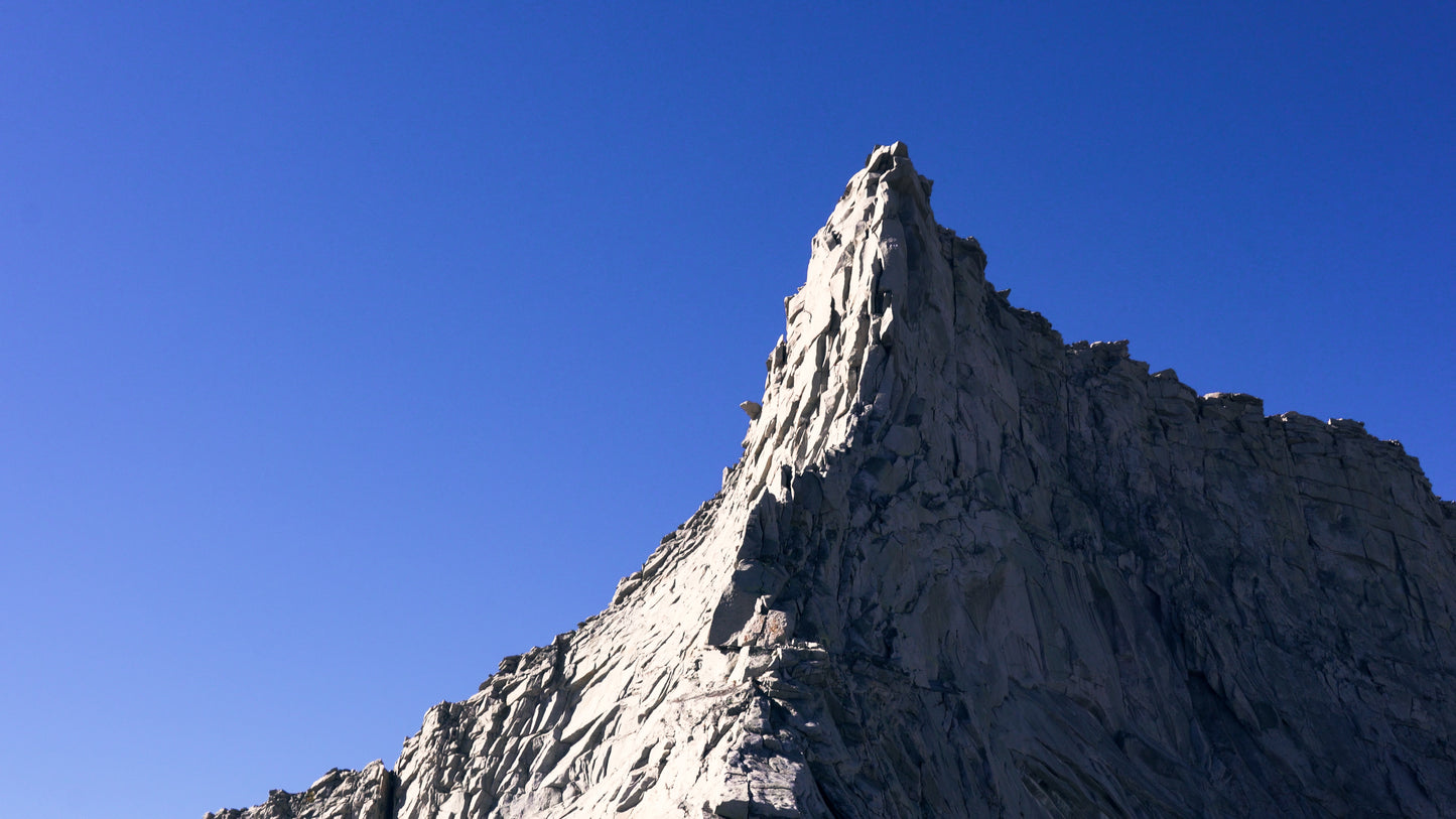 Stills: Sequoia