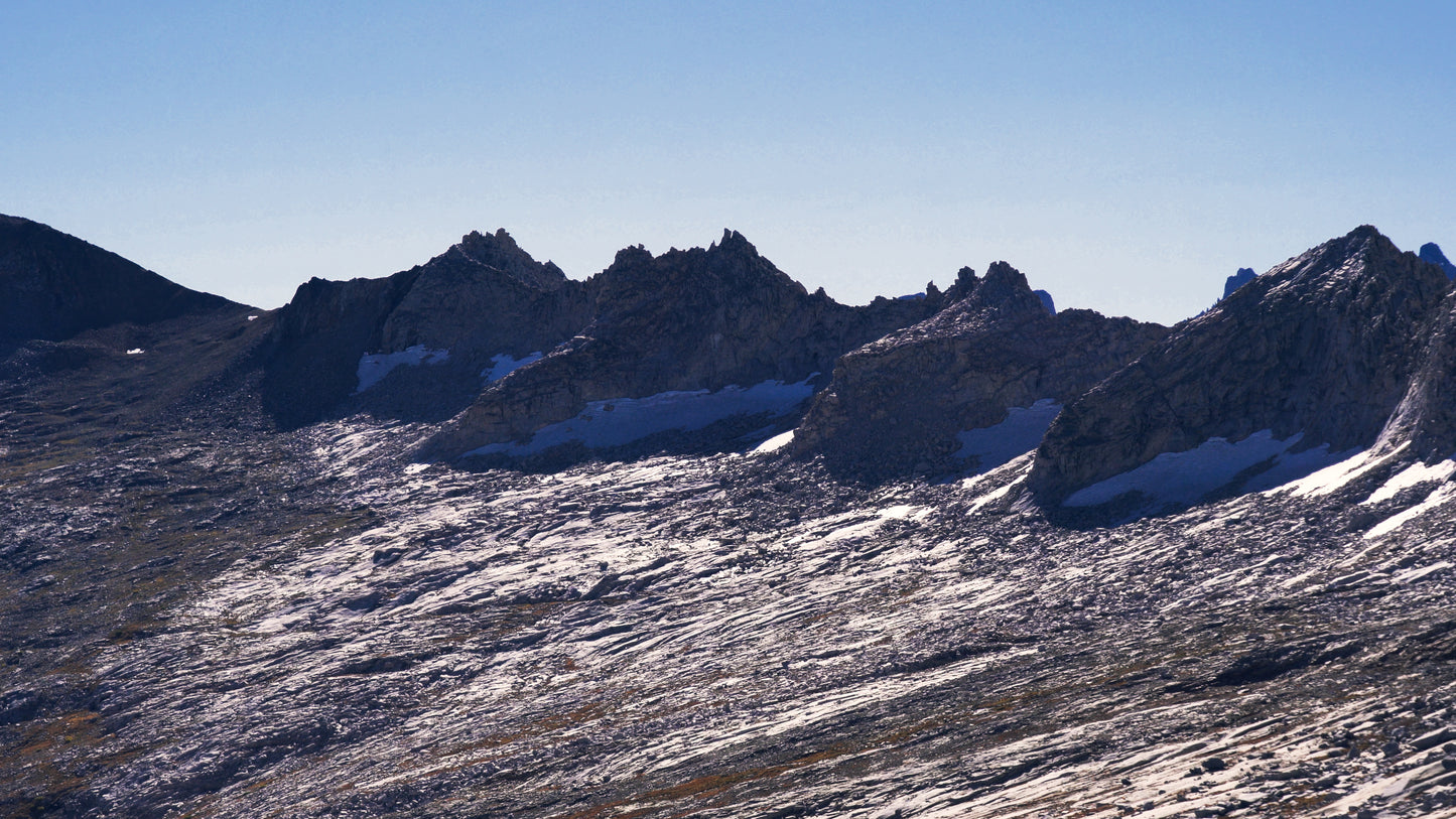 Stills: Sequoia