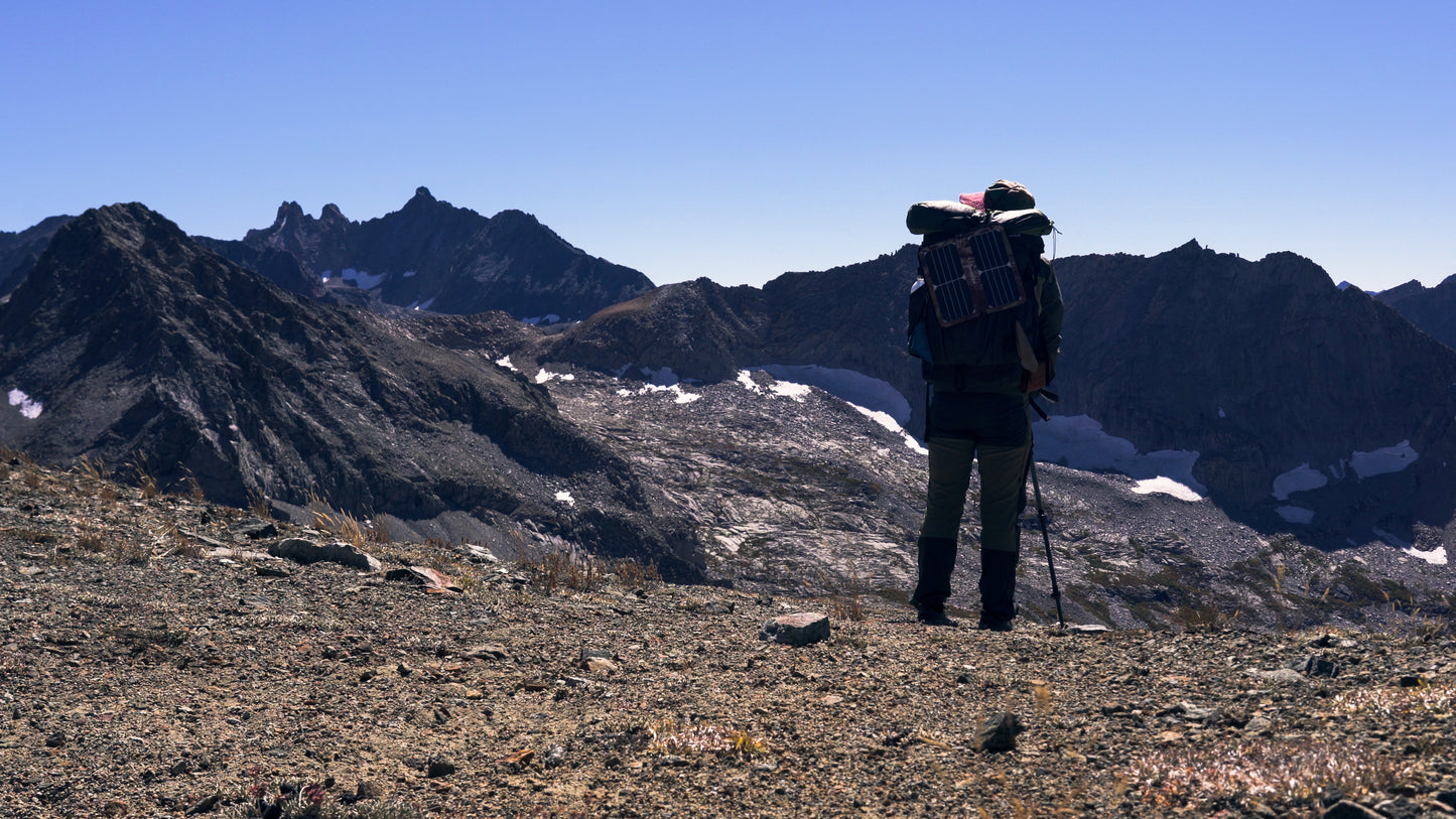 Stills: Sequoia