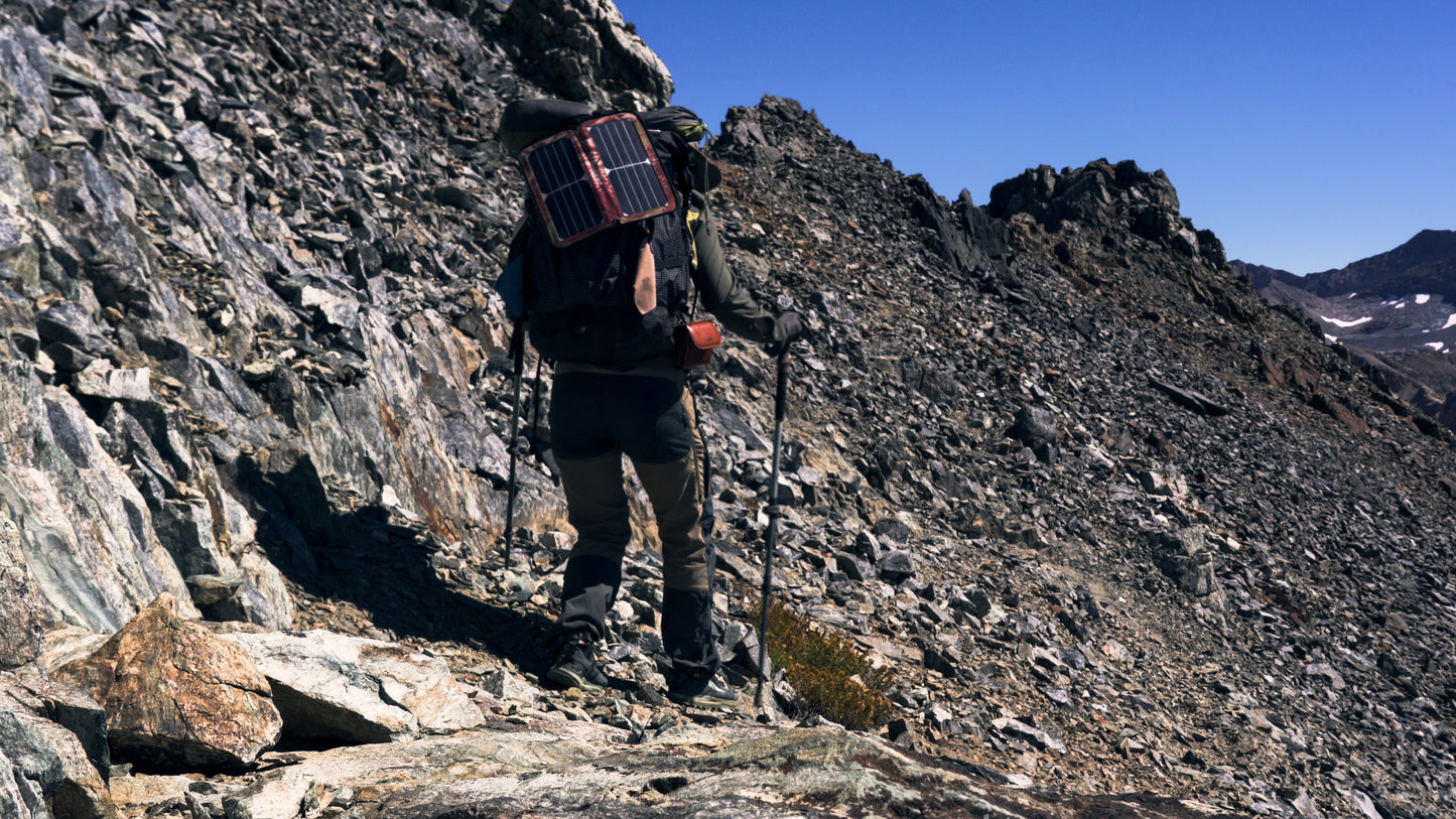 Stills: Sequoia
