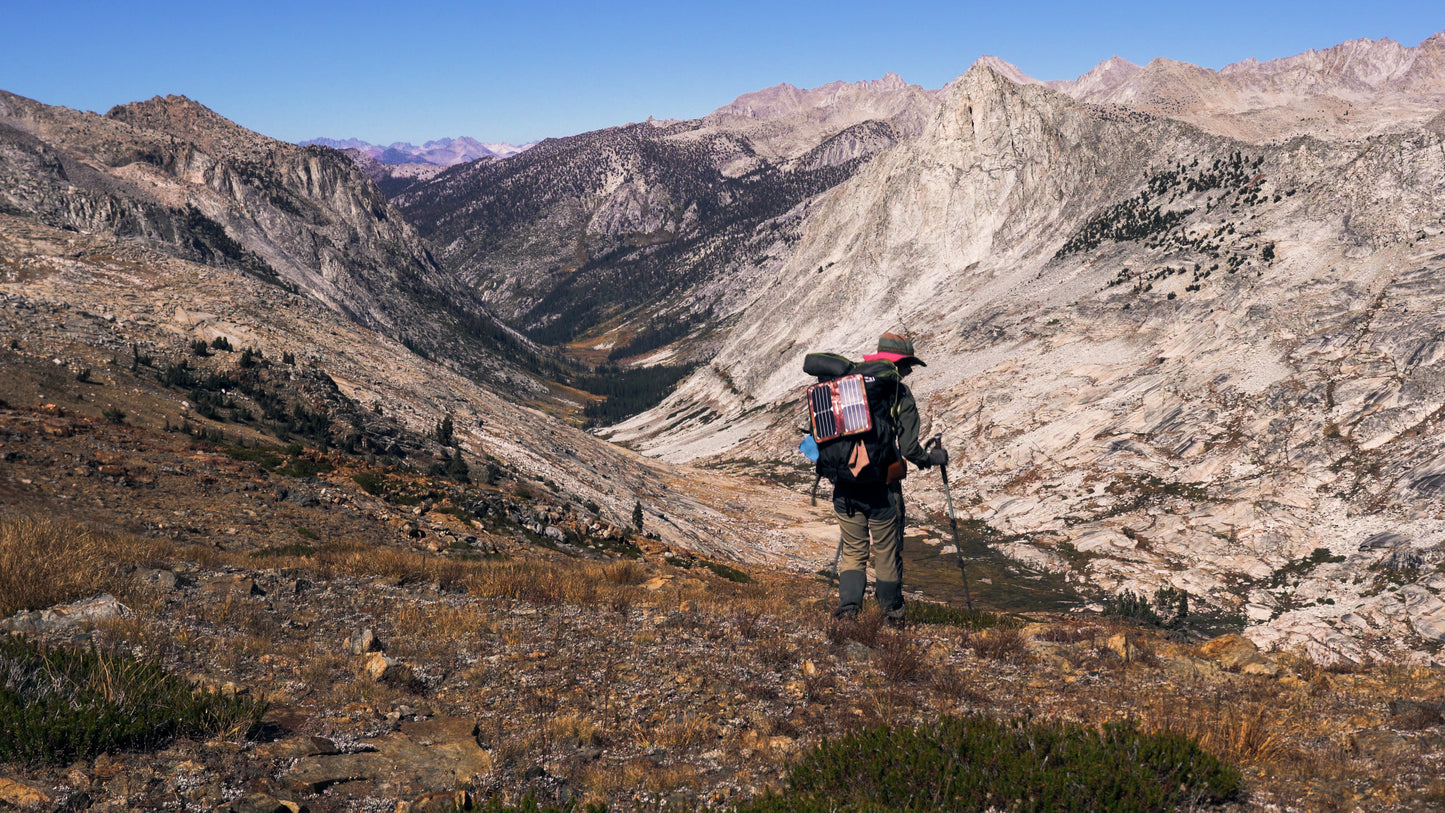 Stills: Sequoia