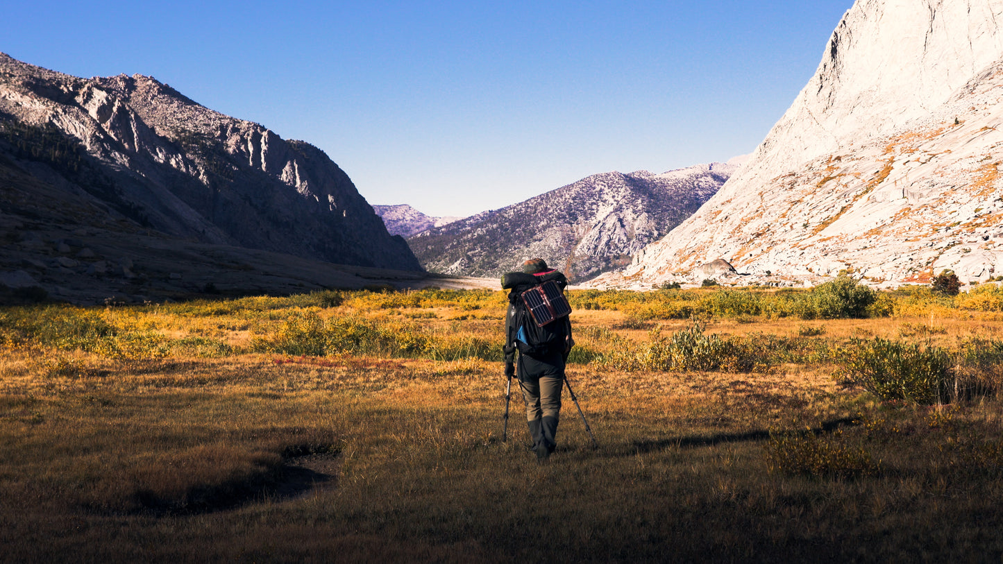Stills: Sequoia