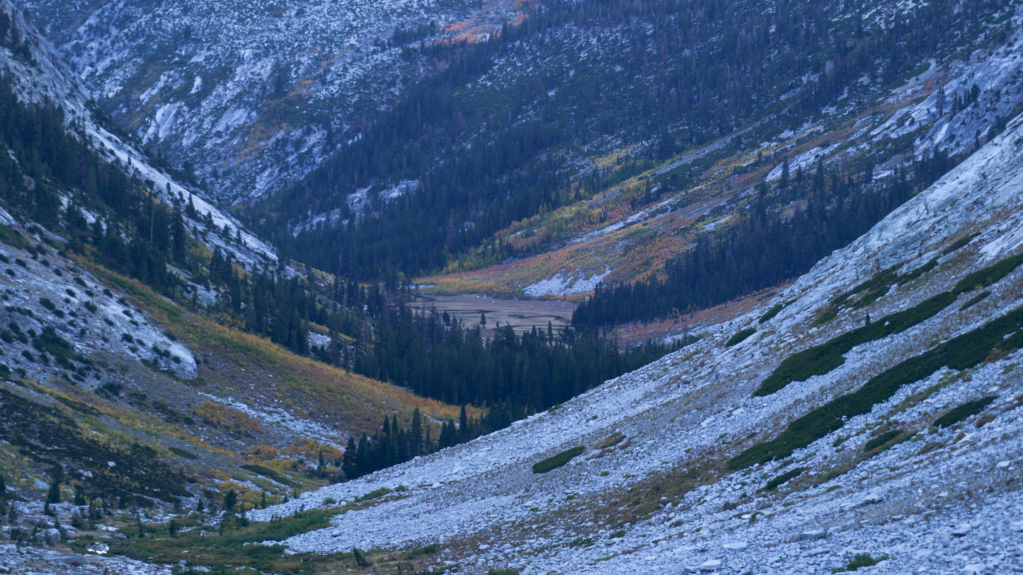 Stills: Sequoia