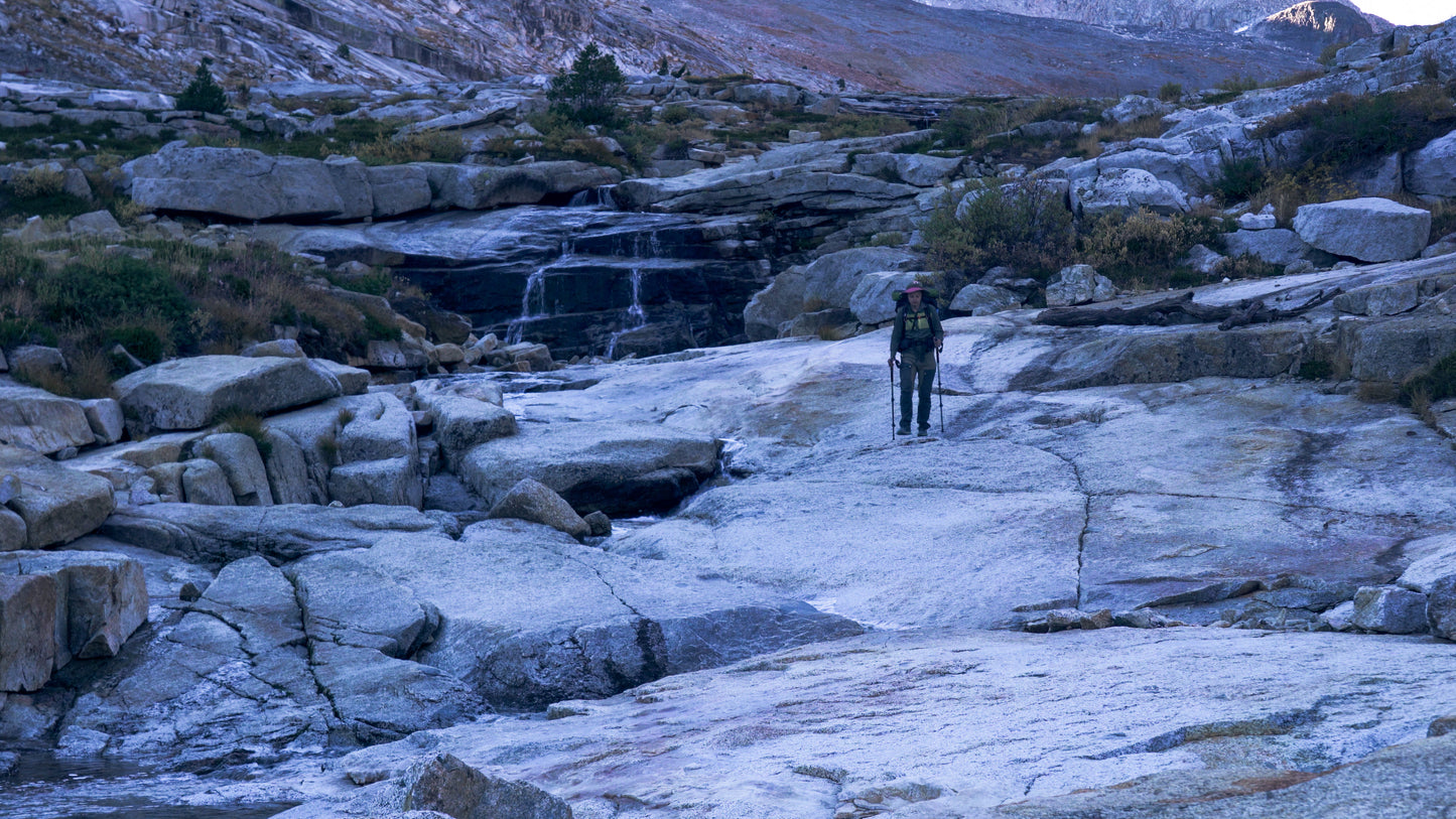 Stills: Sequoia
