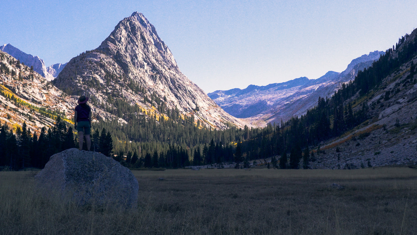 Stills: Sequoia