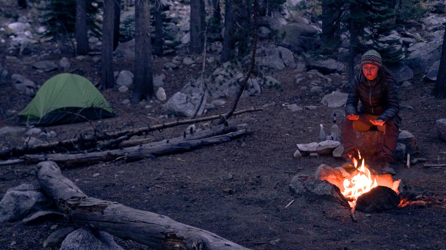 Stills: Sequoia