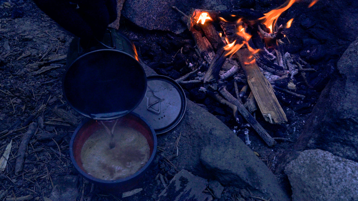 Stills: Sequoia