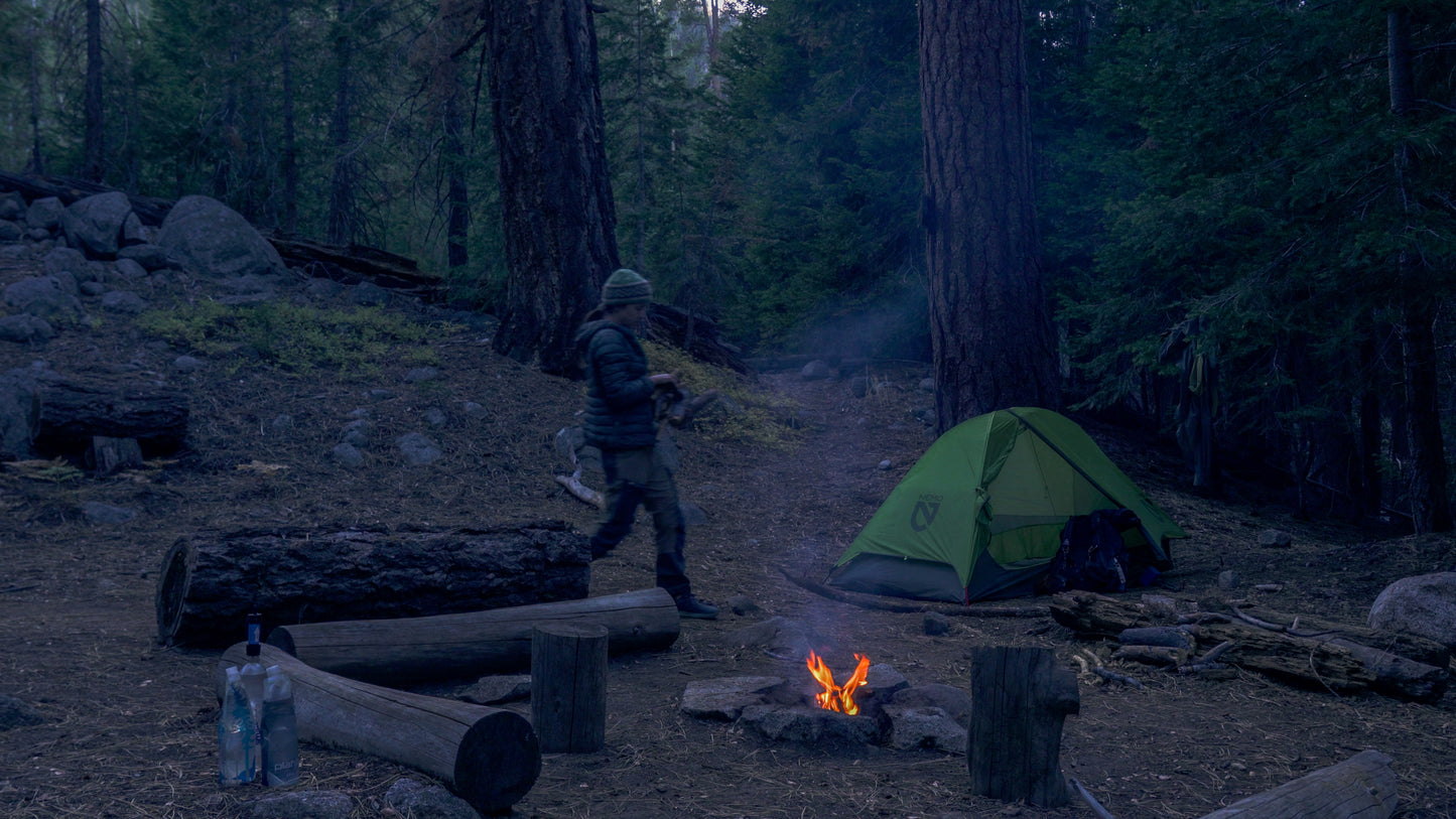 Stills: Sequoia