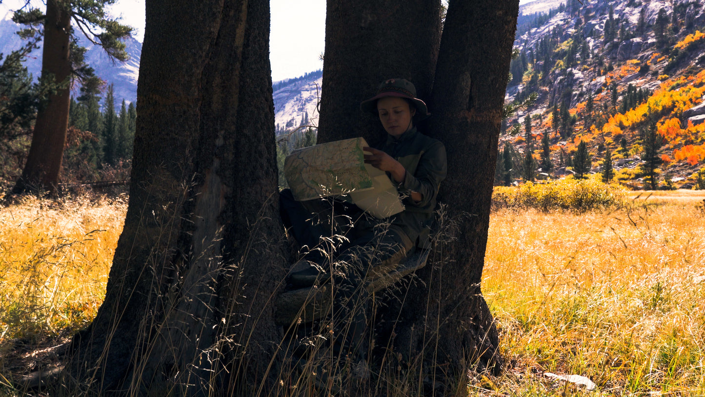 Stills: Sequoia