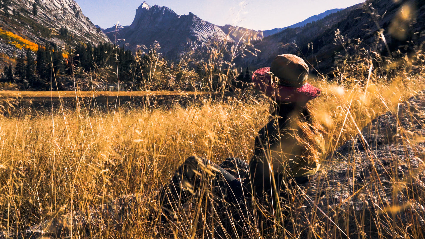 Stills: Sequoia