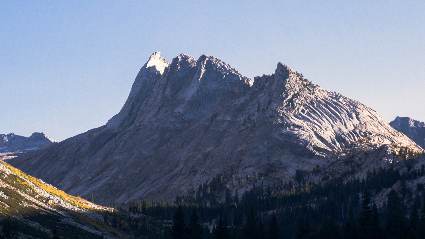 Stills: Sequoia