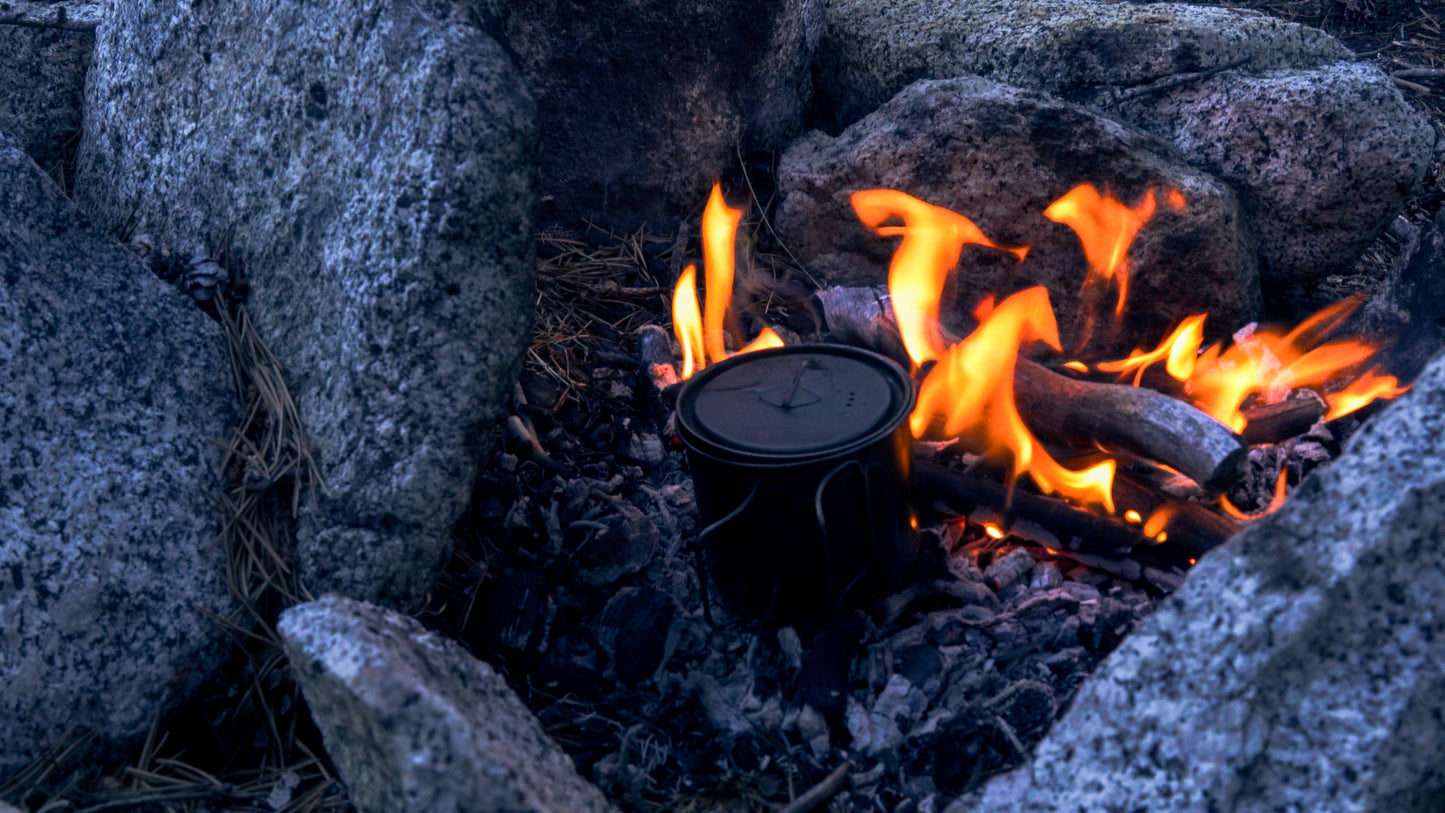 Stills: Sequoia
