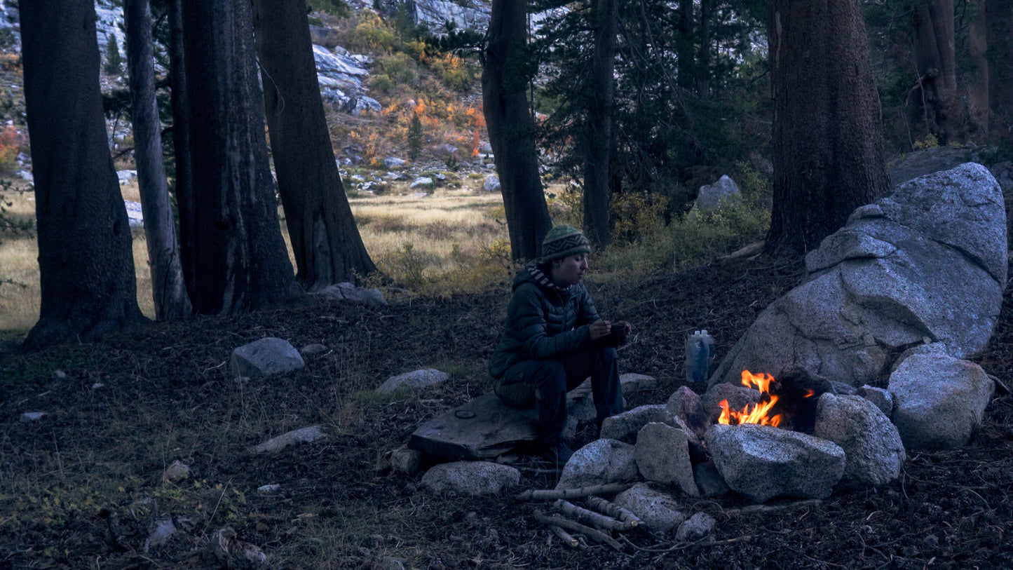 Stills: Sequoia