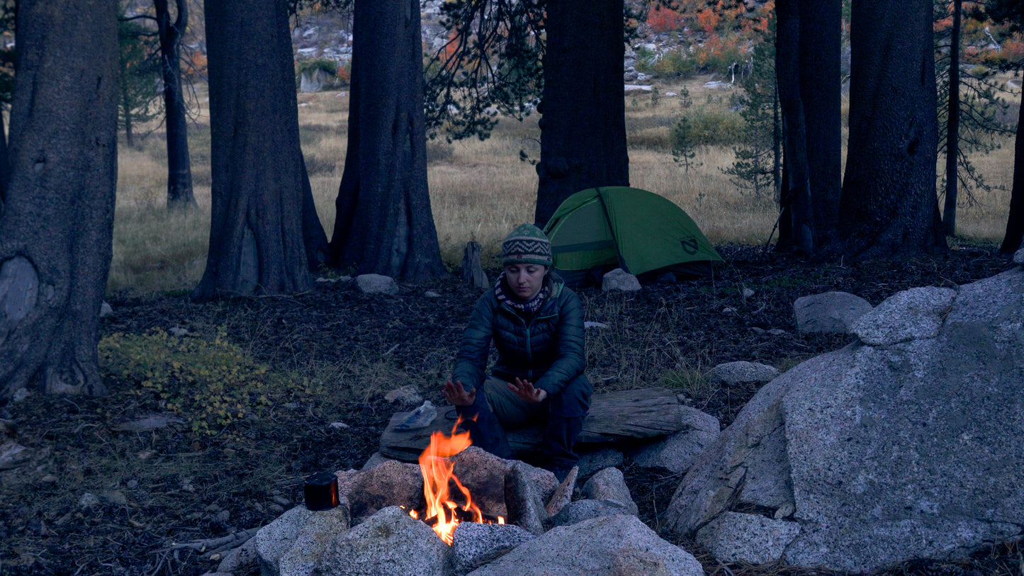 Stills: Sequoia
