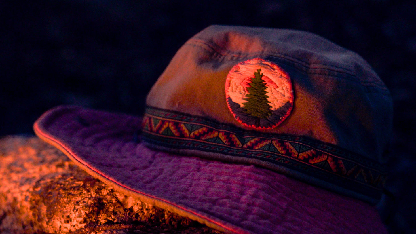 Stills: Sequoia