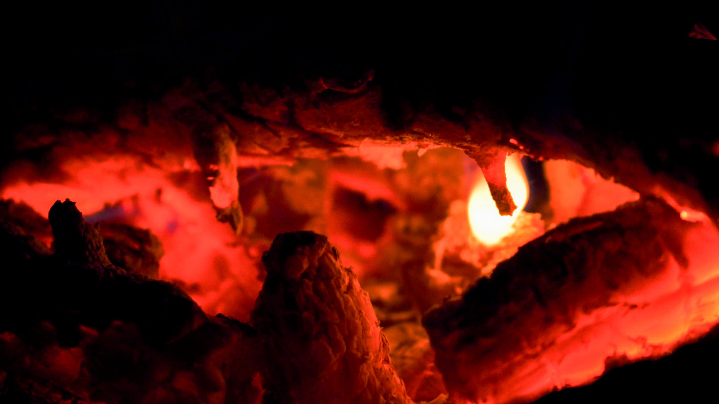 Stills: Sequoia