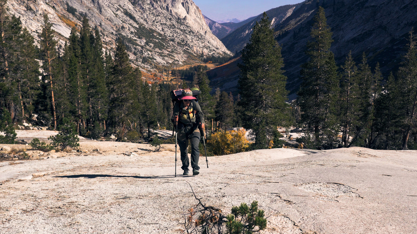 Stills: Sequoia